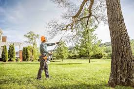  Portage Lakes, OH Tree Services Pros